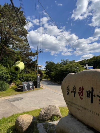 네이처독 [애견카페, 애견운동장]