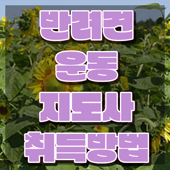  반려동물식품관리사 반려견운동지도사 20일 만에 준비 과정