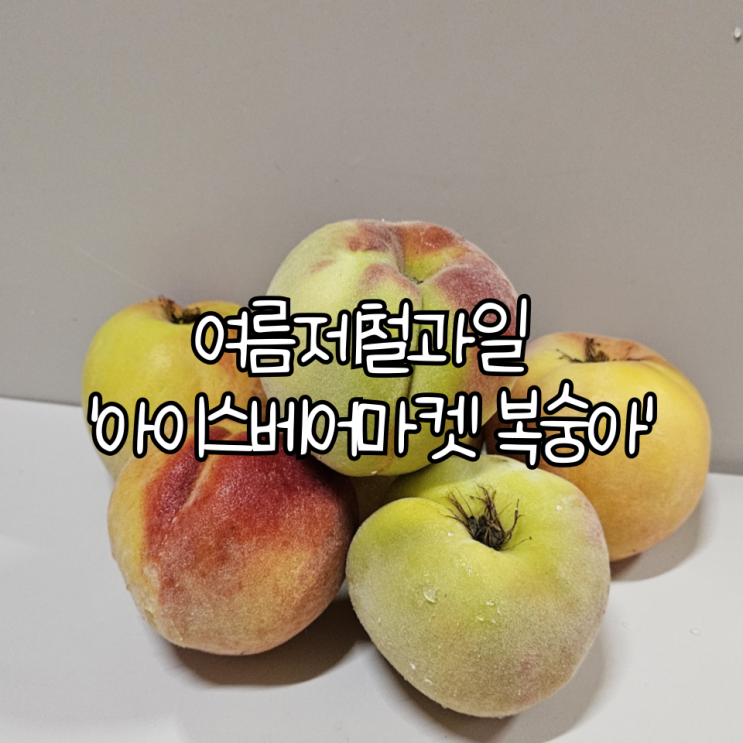  여름 제철과일 '아이스베어마켓 복숭아' | 달달한 당도 높은 하우스 복숭아