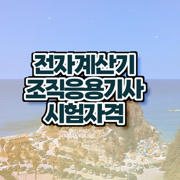  전자계산기조직응용기사 응시조건 온라인 수업으로 4달만에 완료한 방법
