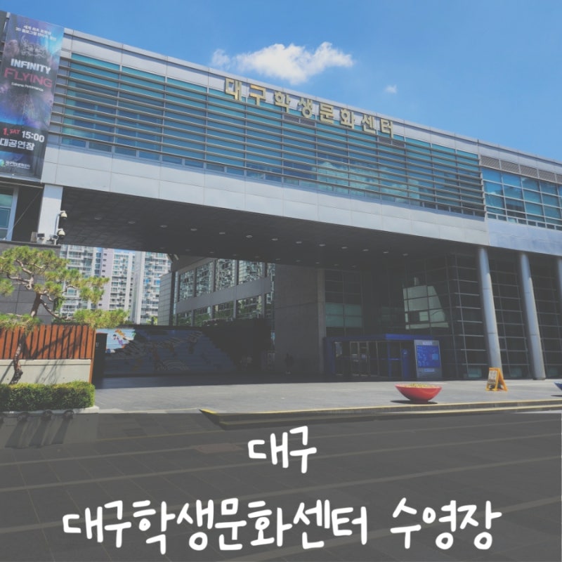 [대구] 대구학생문화센터 수영장, 대구수영장, 대구실내수영장 , 대구50미터 50m 수영장 (일요....