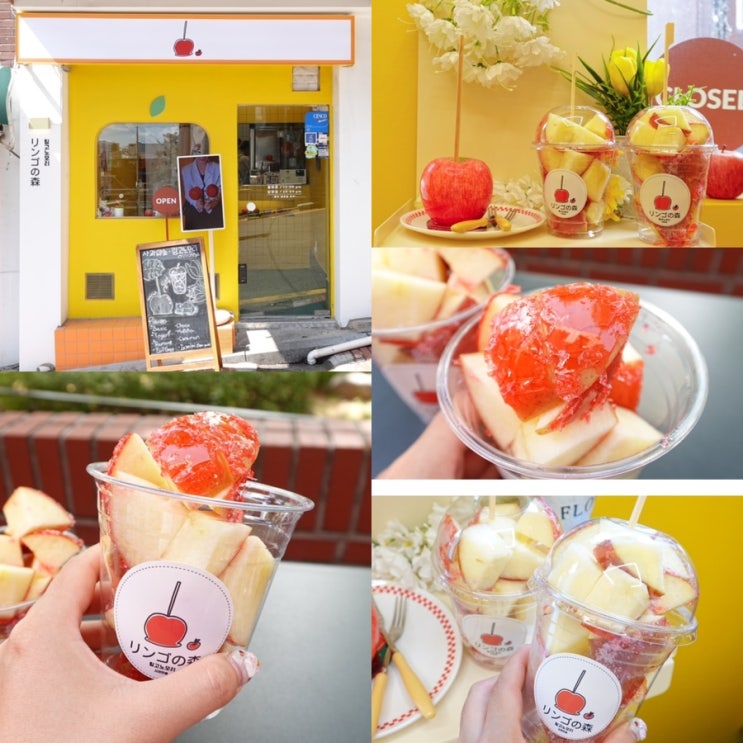  서울 혜화 링고아메 대학로 맛집 낙산공원 데이트 코스 추천 링고노모리