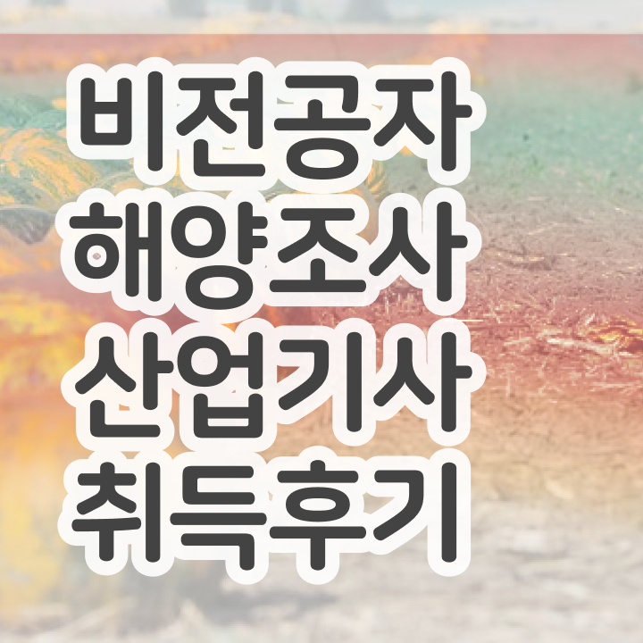  해양조사산업기사 응시자격 온라인으로 5달만에 완료한 과정