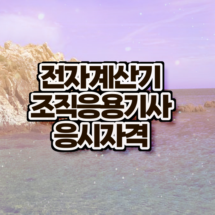  전자계산기조직응용기사 응시자격 전자계산기조직응용기사 응시조건 인강으로 반 년만에 준비한 과정
