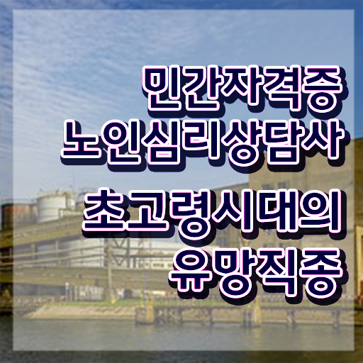  1급노인심리상담사교육지원센터 , 노인심리상담사 자격증 20일 만에 취득한 정보 , 전망