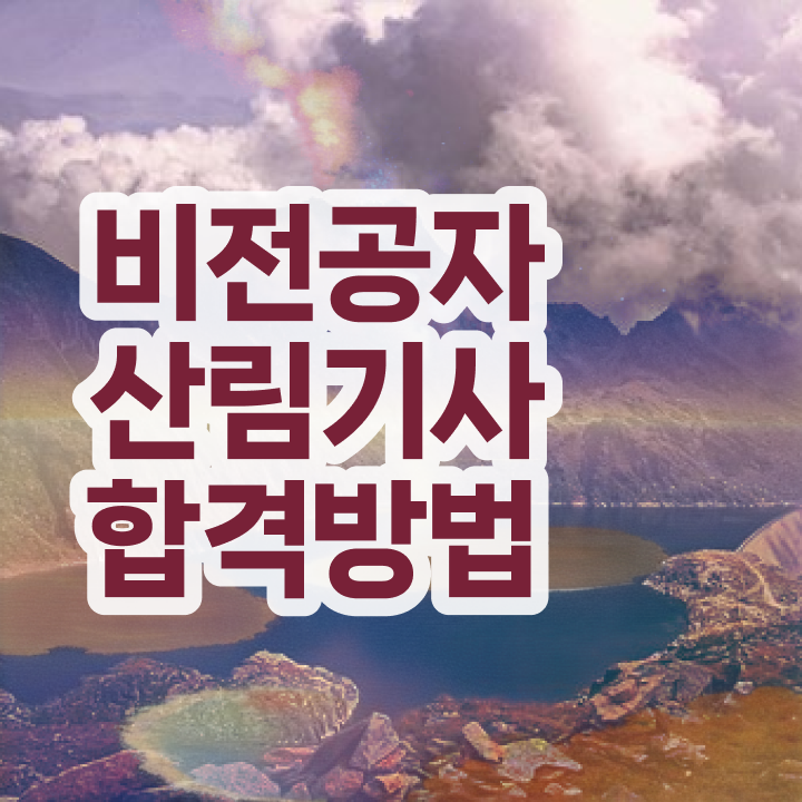  산림기사 관련학과 산림기사 자격요건 인강으로 쉽고 빠르게 완료한 전략