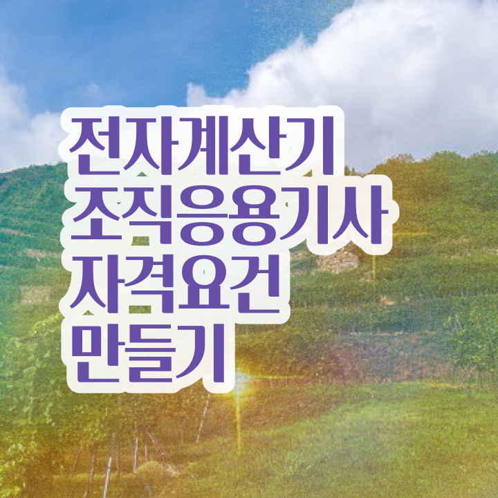  전자계산기조직응용기사 실기합격률 전자계산기조직응용기사 취득자격 인강으로 5개월 만에 성공한 전략