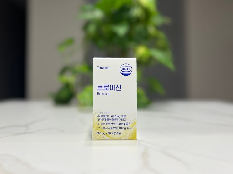  눈에 아지랑이 검은점 이유와 관리 트루아민 브로이신