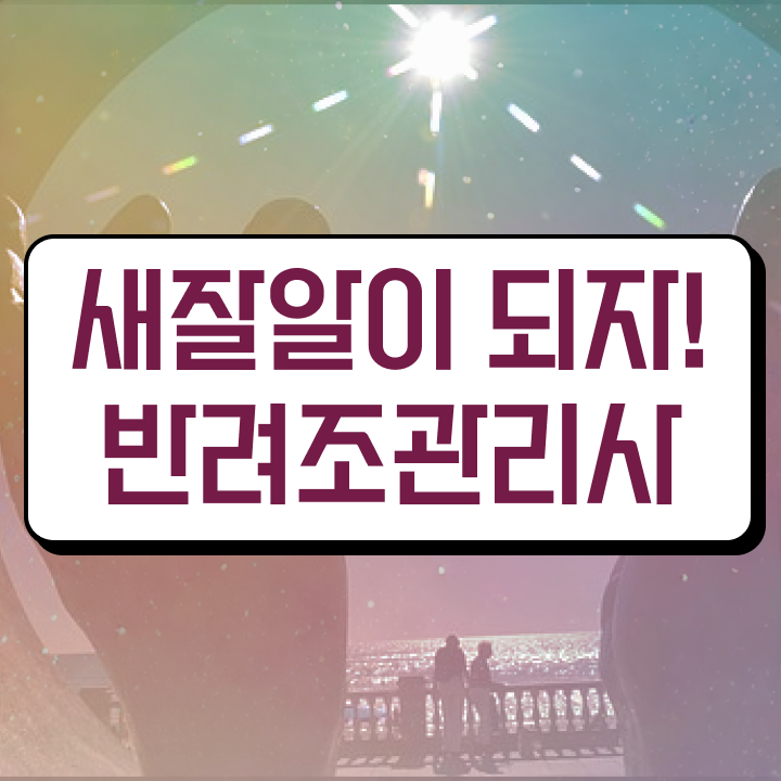  코뉴어앵무새분양 , 반려조관리사 자격증 직장인도 쉽게 합격한 팁 및 고용 전망