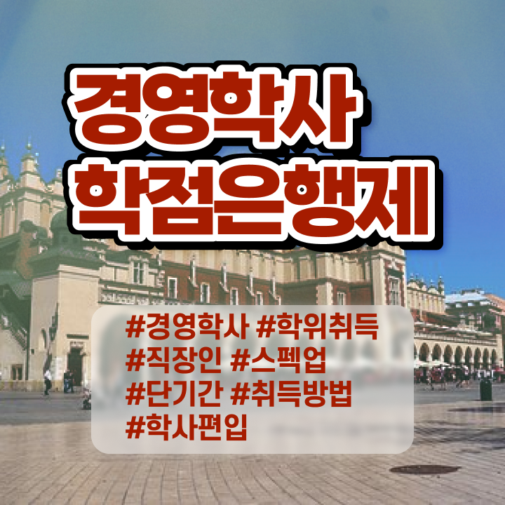  , 대학진학, 경력없이 경영학과 성공할 수 있어요