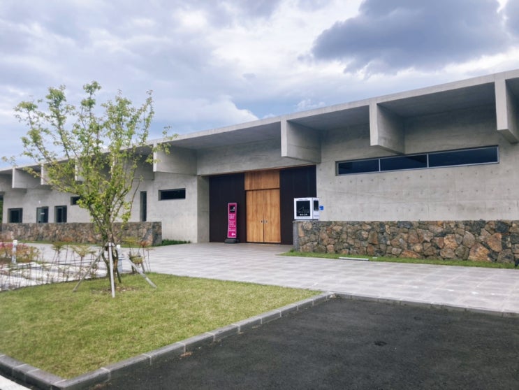  제주 미술관 추천, 바사그미 음식점 / 더바당 근황!