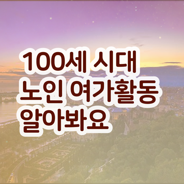  노인여가활동지도사 자격조건 , 혼자서 독학으로 노인여가활동지도사자격증 취득한 방법 핵심 정보 가득