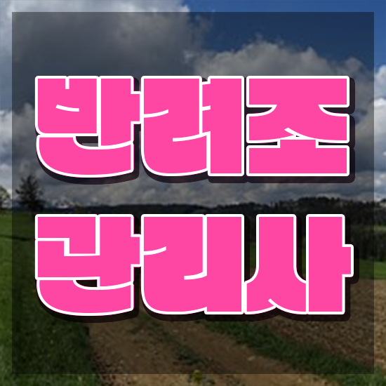  애완 앵무새 종류 , 반려조관리사 자격증 온라인 교육으로 취득한 정보 정보 모두 드려요