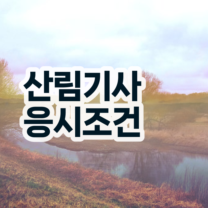  산림기사 학점은행제 산림기사 자격요건 인강만 듣고 단기간에 끝낸 노하우