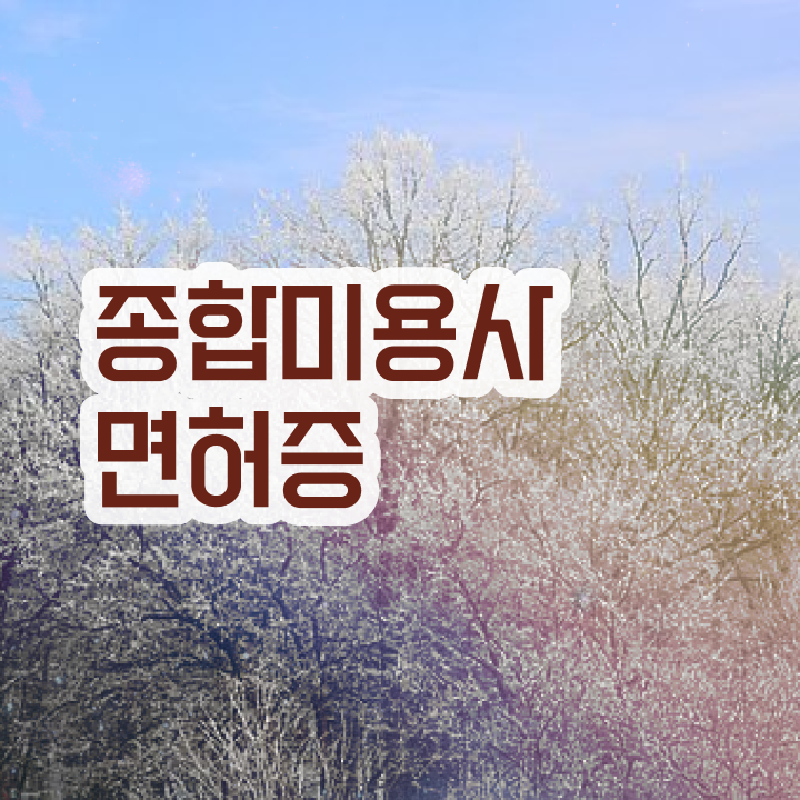  피부관리사 취업 , 피부관리사 창업 최우선으로 합격해야 하는 면허증은? 차례대로 알려드립니다
