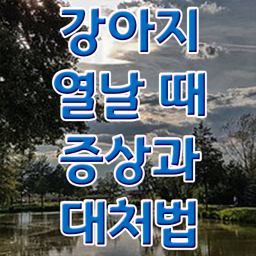  반려동물관리사일정 , 반려동물관리사 자격증 취득한 과정 짚어드려요