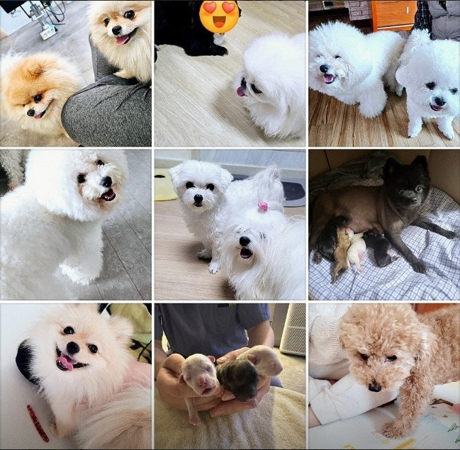 사진 4