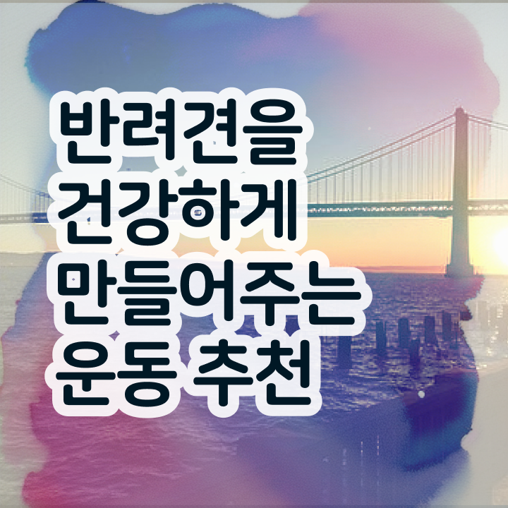 오산 강아지 훈련사 15일 만에 반려견운동지도사자격증 공부한 방법