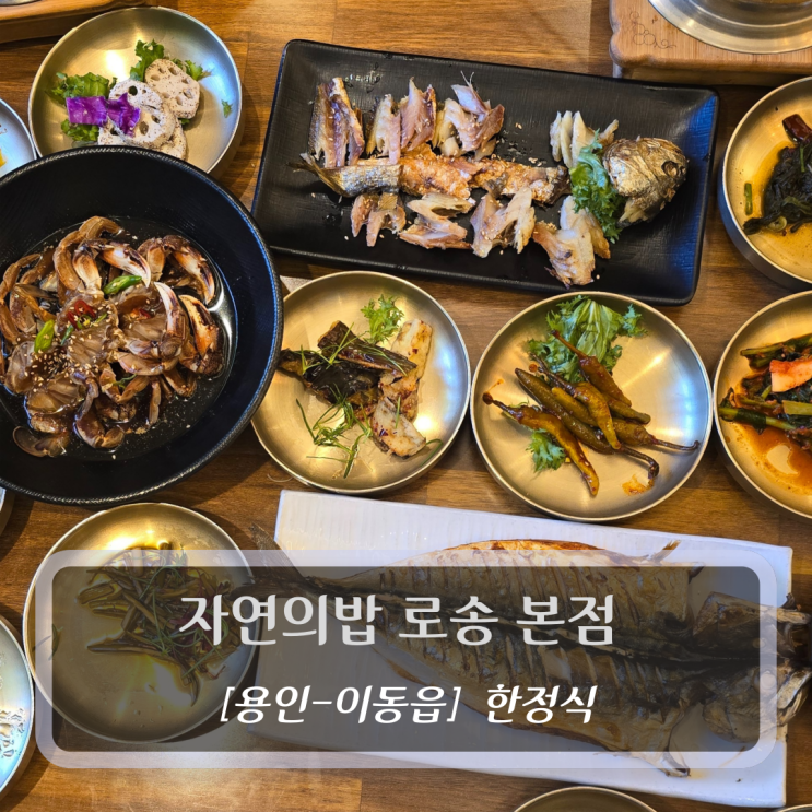 [용인-이동읍, 한정식] 자연의밥 로송 본점 - 내돈내산 후기