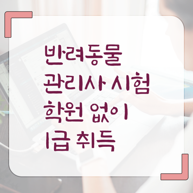  반려동물자격 , 반려동물관리사 자격증 쉽고 빠르게 학습한 후기 , 활용 방법
