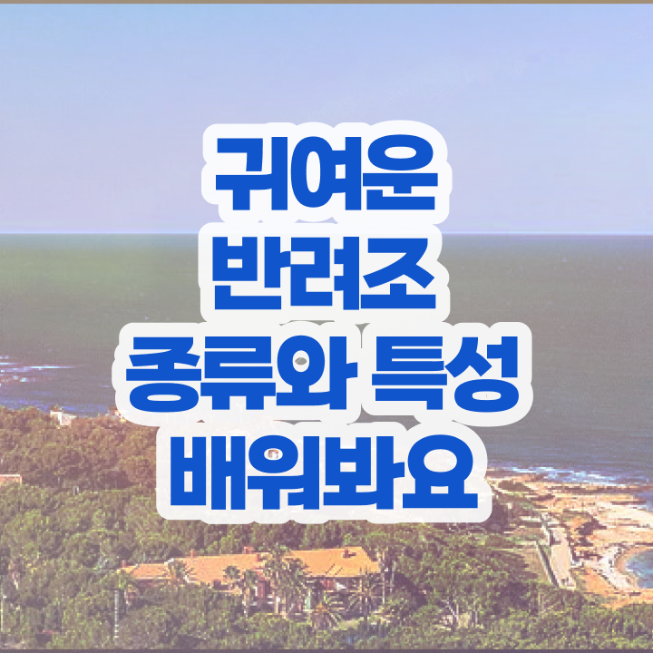  코뉴어 앵무새 분양 , 반려조관리사 자격증 1급,2급 동시에 합격한 후기 전격분석