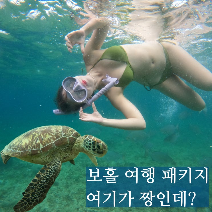  보홀 패키지 발리카삭 거북이 호핑 해상투어