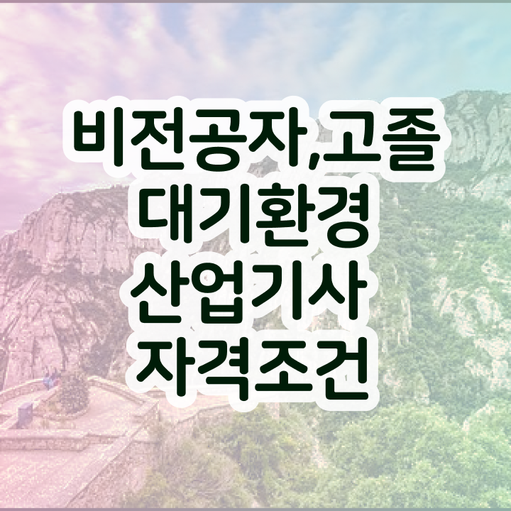  대기환경산업기사 합격 대기환경산업기사 자격요건 온라인으로 단기간에 완료한 방법