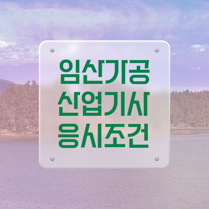  임산가공산업기사 응시조건 독학으로 4달 안에 완료한 방법