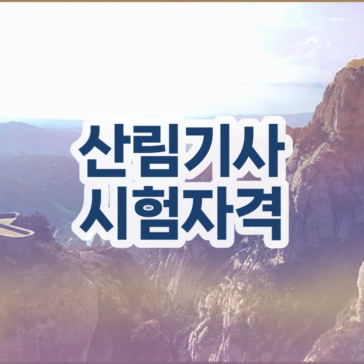  산림기사 독학 산림기사 응시자격 독학으로 빠르게 완료한 비법