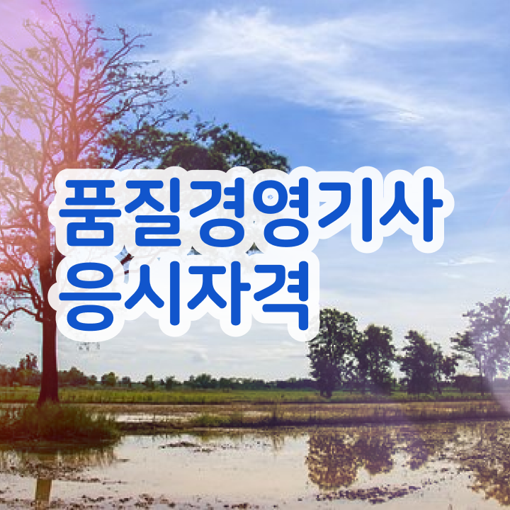  품질경영기사 응시자격 온라인으로 5달만에 준비한 전략