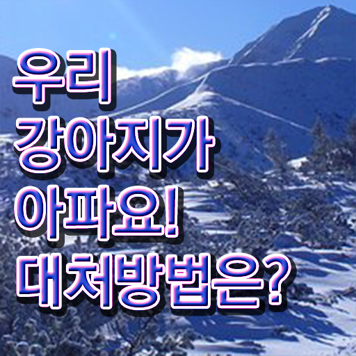  반려동물관리사 특강 , 반려동물관리사 자격증 응시자격 없이 취득했던 후기 알아볼까요