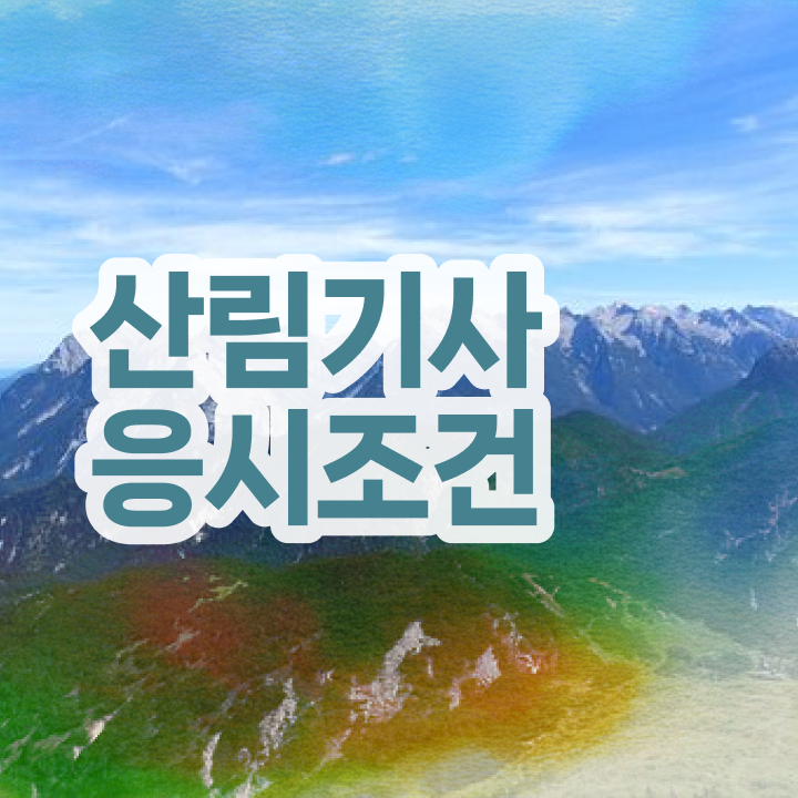  산림기사 공부기간 산림기사 응시조건 집에서 온라인으로 4개월 만에 준비한 방법