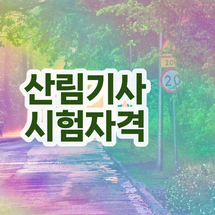  산림기사 자격증 산림기사 자격요건 온라인으로 1학기에 끝낸 전략