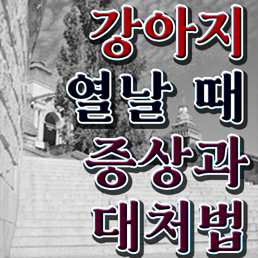  대구 강아지 훈련사 , 반려동물관리사 자격증 비용없이 온라인으로 합격한 전략 및 향후 전망