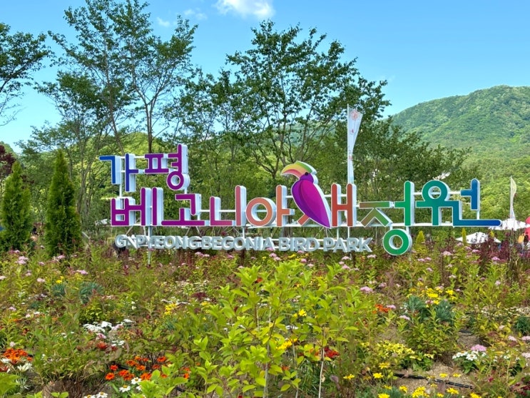  가평 가볼만한곳 베고니아 새정원 알고 보니 통일교