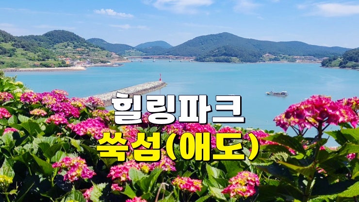 6월~7월 전남 고흥 수국명소 가볼만한곳 : 고흥 쑥섬 수국정원(애도 고양이섬) 배편 · 개화 만개시기 6월~7월 전남 고흥 수국명소 가볼만한곳 : 고흥 쑥섬 수국정원(애도 고양이섬) 배편 · 개화 만개시기