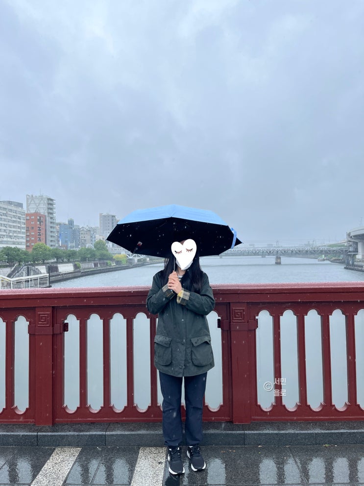  도쿄 6월 7월 8월 날씨 예보로 본 비소식, 준비물 정리