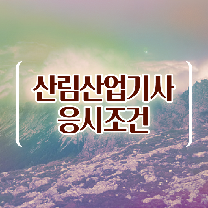  산림산업기사 자격 요건 산림산업기사 시험응시조건 학점은행제로 5개월 만에 준비한 비법
