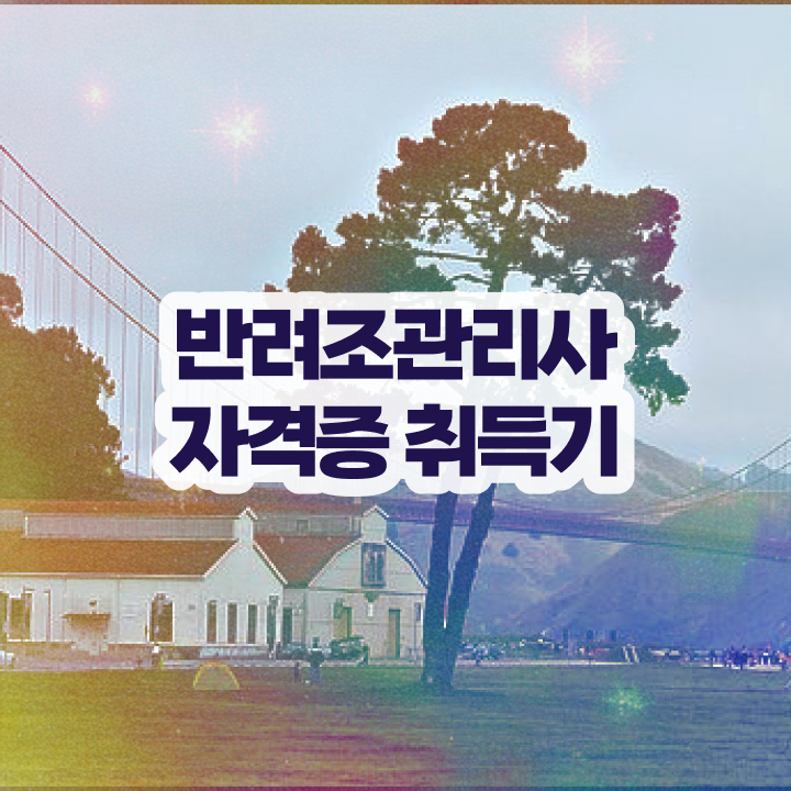  코뉴어앵무새먹이 , 반려조관리사 자격증 합격한 팁 요약해봤어요