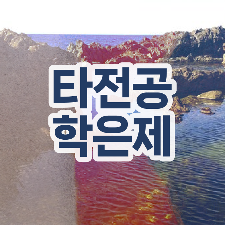  학점은행제 독학사 , 일정을 완벽하게 이끌어주는 학점은행제 플래너 가 있습니다.