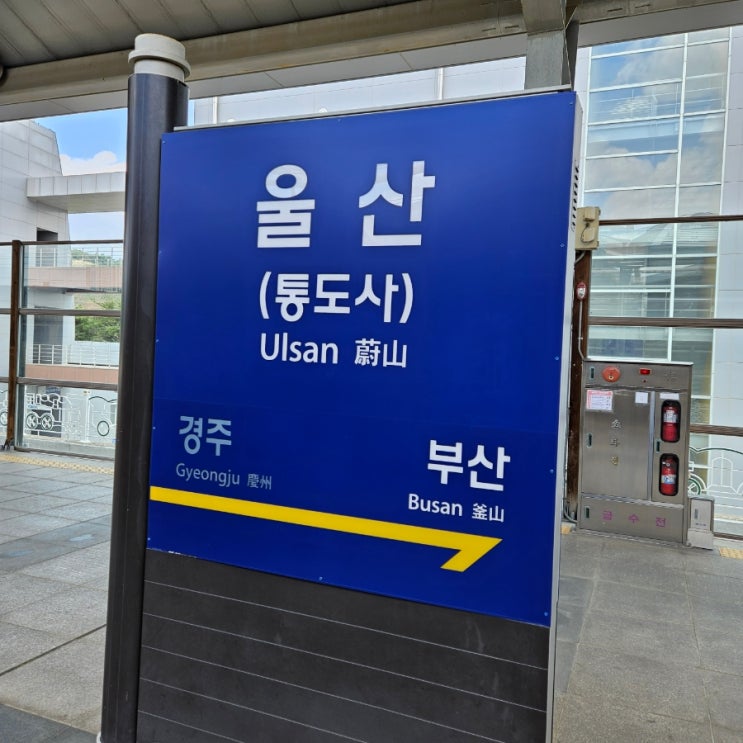  ktx울산역 식당 & 기념품샵 선물 총정리(복순도가, 태화당, 소월당배빵,황박사목포쫀디기)