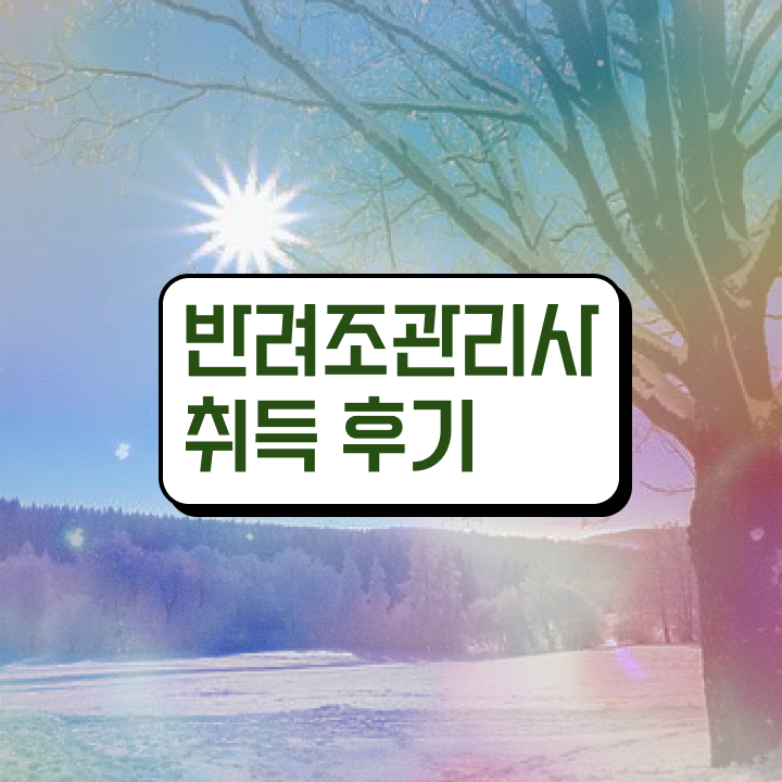  모란앵무분양 , 반려조관리사 자격증 1급,2급 동시에 준비한 과정 , 취업