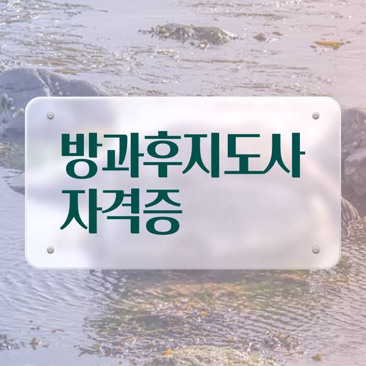  방과후수업교사 , 방과후지도사 취득했던 후기 및 무료과정 혜택