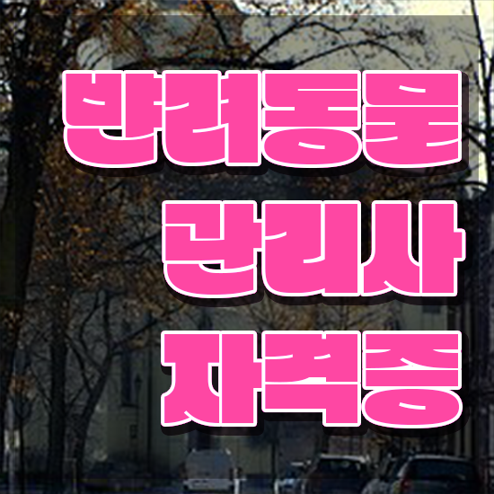 반려동물 자격증 무료 과정 , 반려동물관리사 자격증 학습한 후기 알아보기