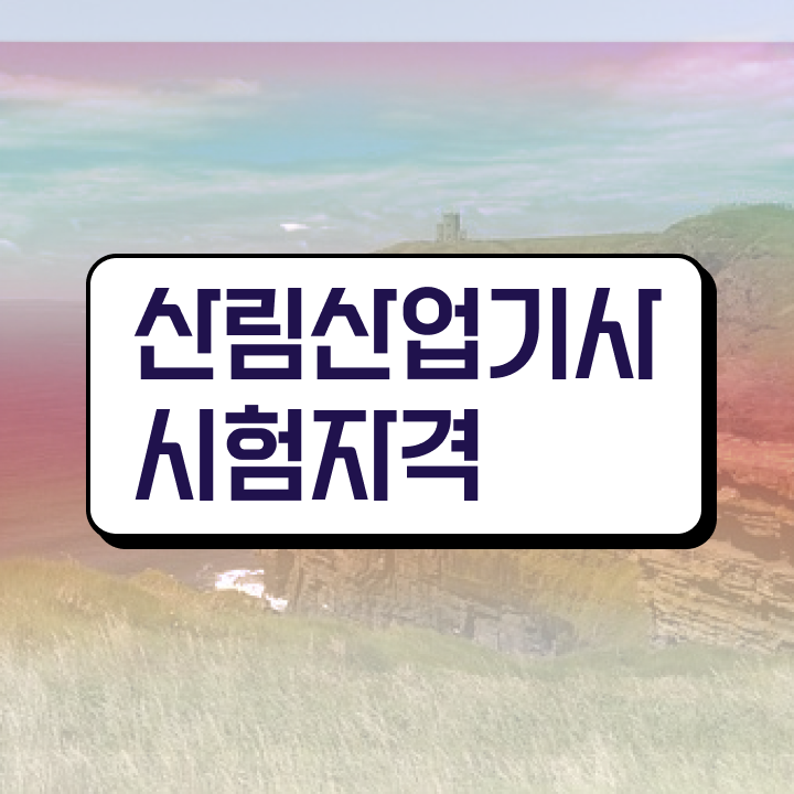  산림산업기사 관련학과 산림산업기사 시험응시자격 온라인 수업으로 반 년만에 완료한 팁