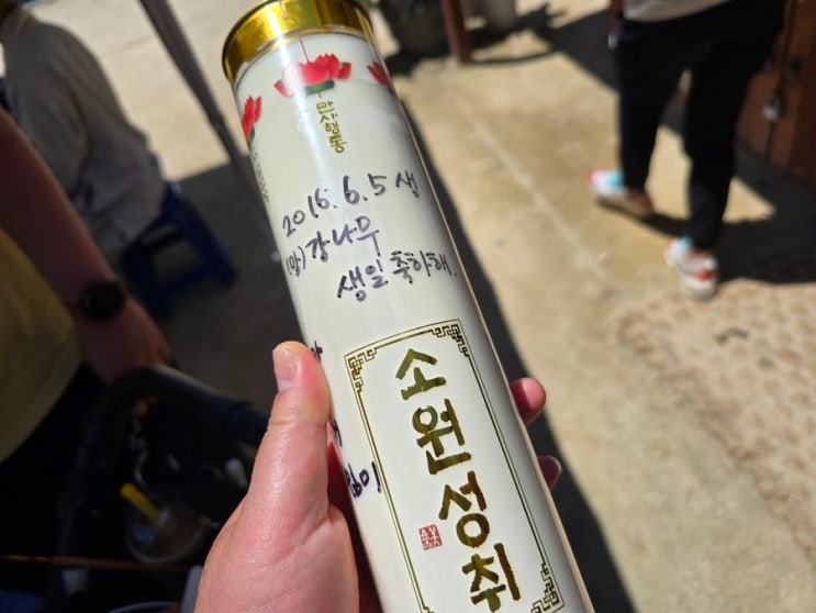  강아지가 무지개다리 건너 떠난 후 첫 생일 강나무 한살.