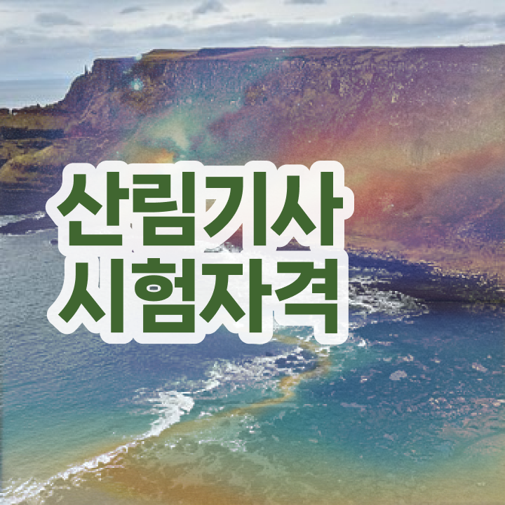  산림 기사필기 산림기사 응시조건 온라인으로 15주 동안 성공한 전략