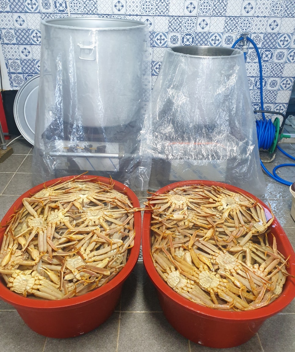 차칸대게 사진 3