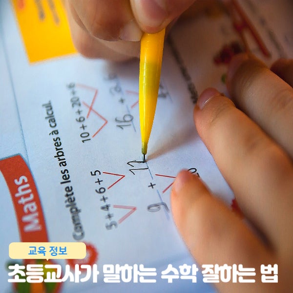  15년 차 초등 교사가 말하는 수학 잘하는 법