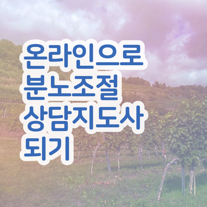  분노 조절장애입원 한달 만에 분노조절상담지도사자격증 합격 전략